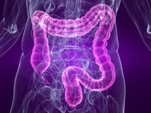 Look after your digestive system