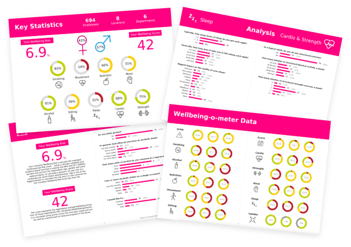 MyWellbeingCheck Company Report