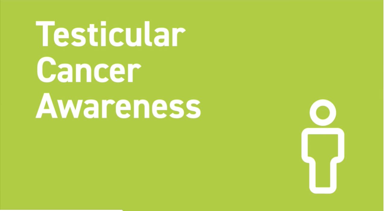 testicular cancer information